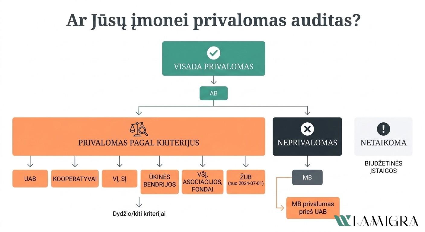Kurioms įmonių teisinėms formoms privalomas finansinių ataskaitų auditas Lietuvoje: AB, UAB, MB, kooperatyvai 2026